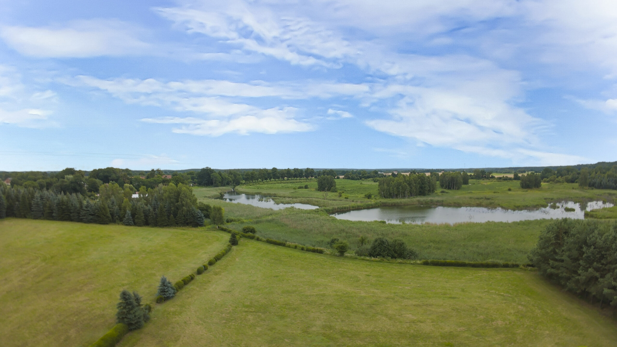 Brzeg 3